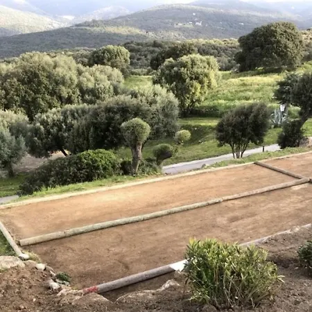 Apartment New T2 6 Pers Vue Terrasse Dans Avec Piscine Serra-di-Ferro (Corsica)