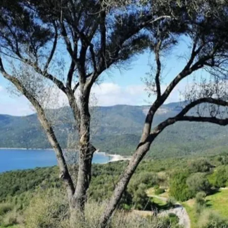 New T2 6 Pers Vue Terrasse Dans Avec Piscine Apartment Serra-di-Ferro (Corsica)